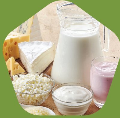 Dairy