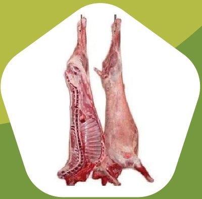 Carcass meat